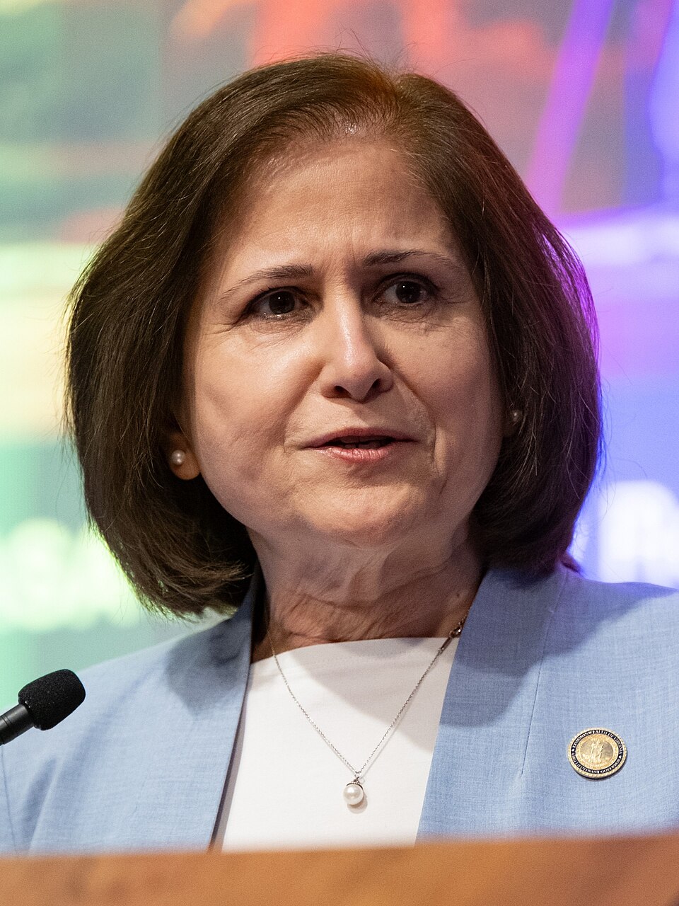 Ghazala Hashmi, Lieutenant Governor
